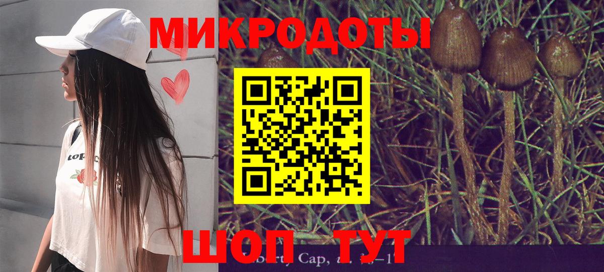Псилоцибиновые грибы Cubensis Сердобск